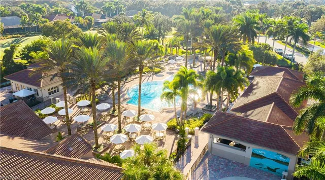 a view of a backyard with plants and a garden