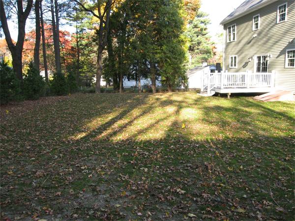 11 Barstow Road Walpole, MA 02081 - Photo 3 of 17 Gallery Image 3