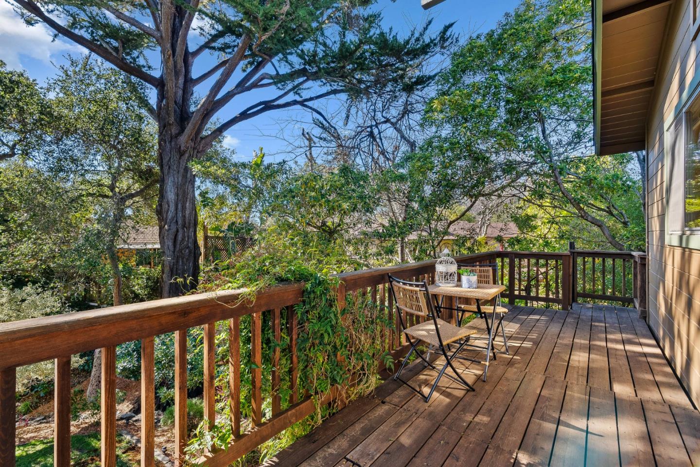 246 Meadow Road Santa Cruz, CA 95060 - Photo 29 of 55 Gallery Image 29