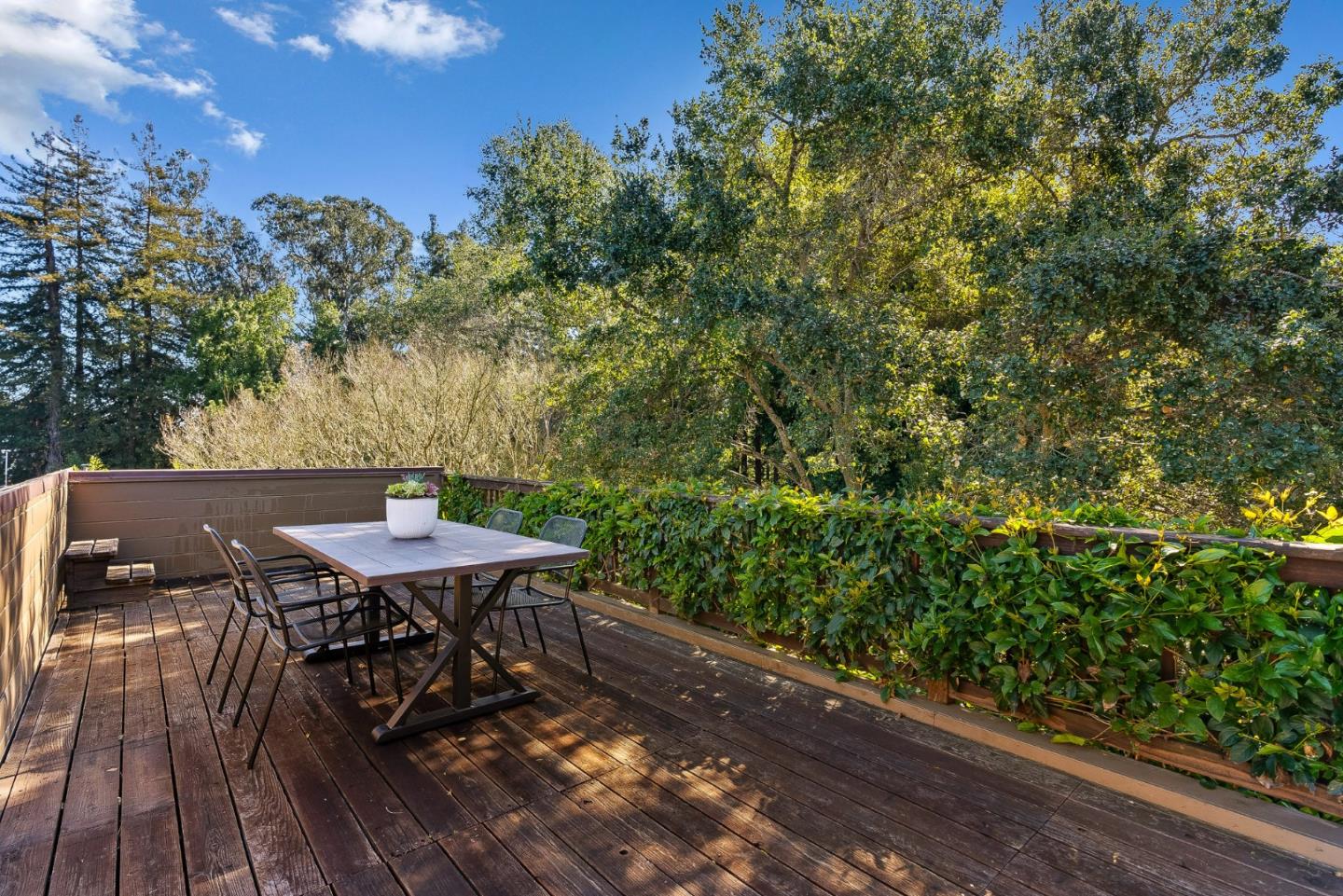 246 Meadow Road Santa Cruz, CA 95060 - Photo 31 of 55 Gallery Image 31