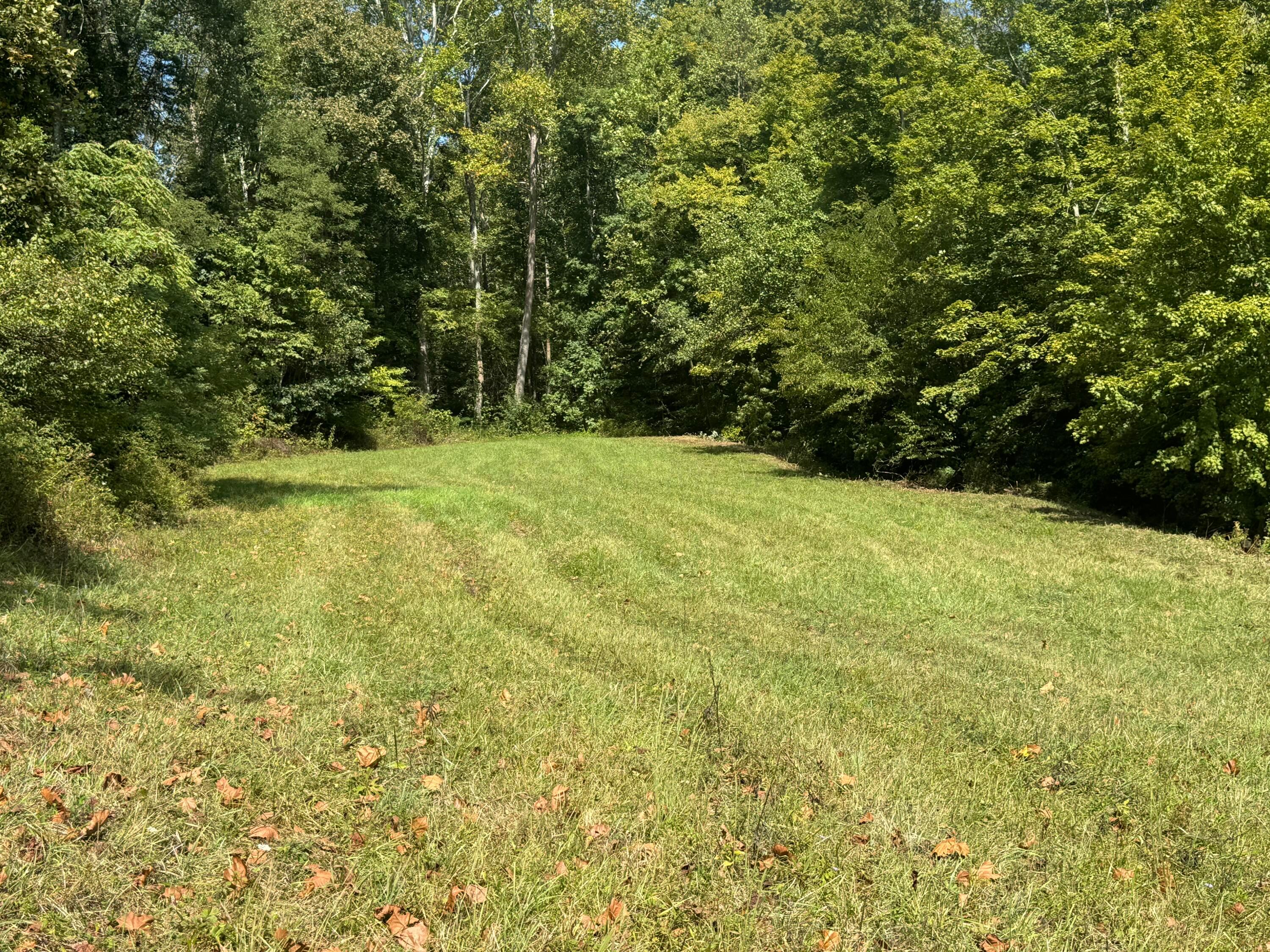 0 McGrath Road, Unit MCGRATH TRACT 5) Athens, OH 45701 - Photo 43 of 71 20240912_173923292_iOS