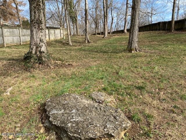1903 Round Ridge Road Louisville, KY 40207 - Photo 41 of 43 Backyard View 3