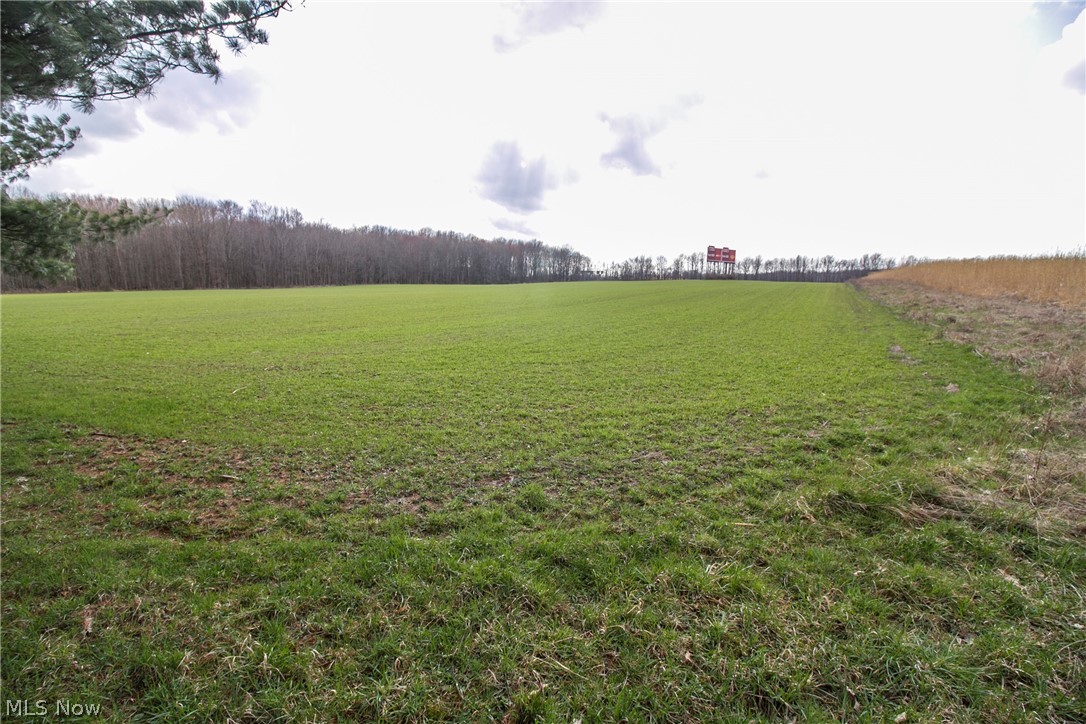 Chapel Road Ashtabula, OH 44004 - Photo 23 of 26 Gallery Image 23