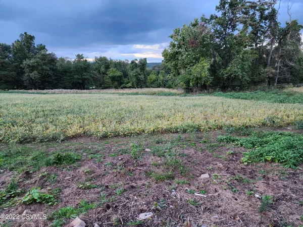a view of a field with trees in the background