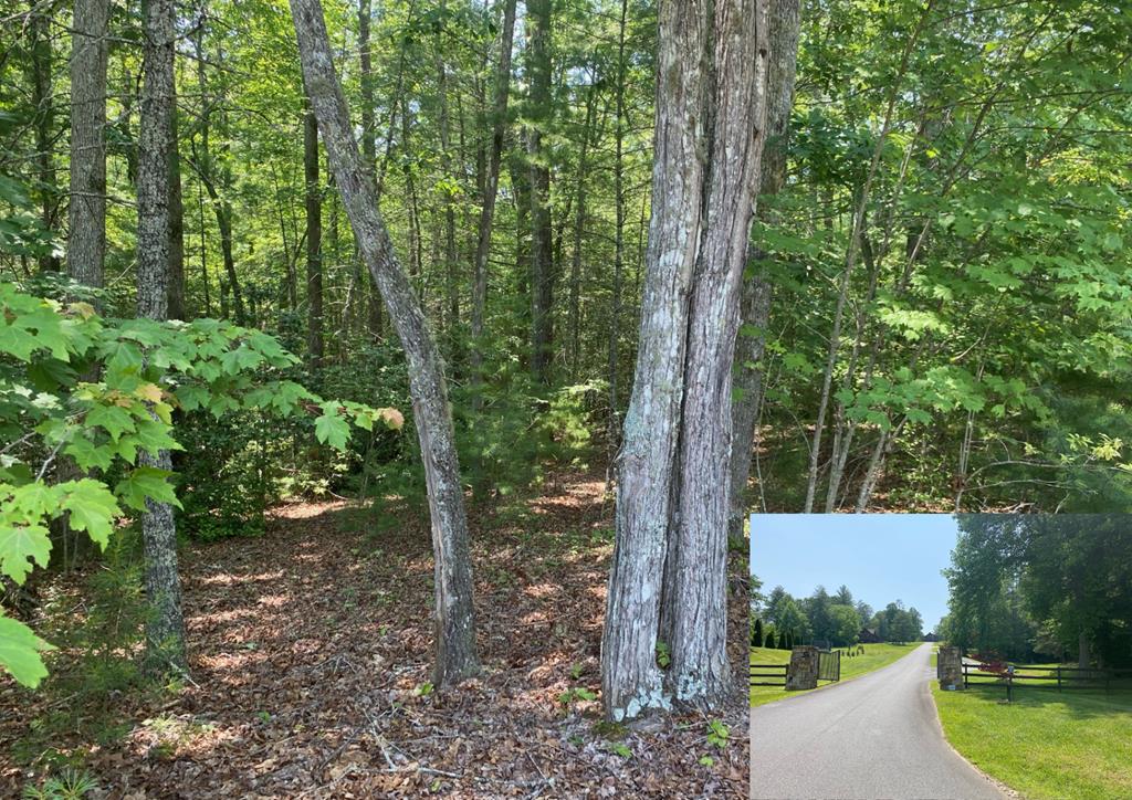 Lot 34 Point Overlook Trail Murphy, NC 28906 - Photo 1 of 17 Main View