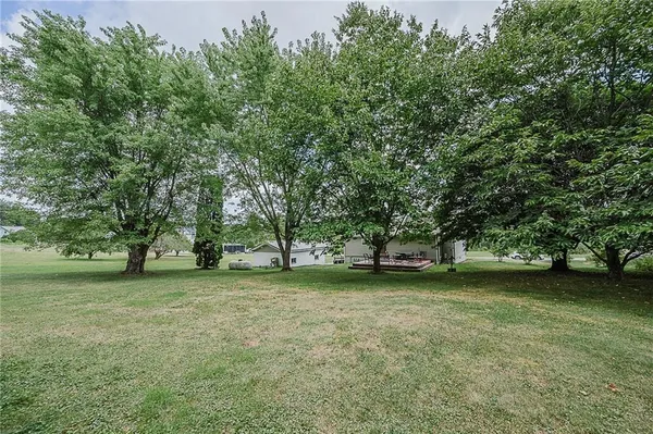 a view of a tree in front of a house with a yard