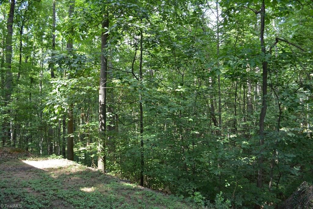 1189 CC Camp Road Elkin, NC 28621 - Photo 20 of 25 Gallery Image 20