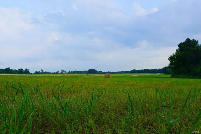 $68,000 | 0 Lot Place, Perry, MO 63462
