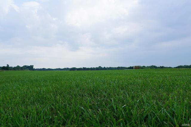 0 Lot Place Perry, MO 63462 - Photo 16 of 32