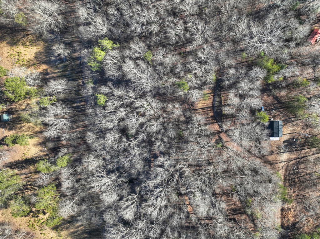 100 Toccoa Hills Road Blue Ridge, GA 30513 - Photo 8 of 40 Gallery Image 8