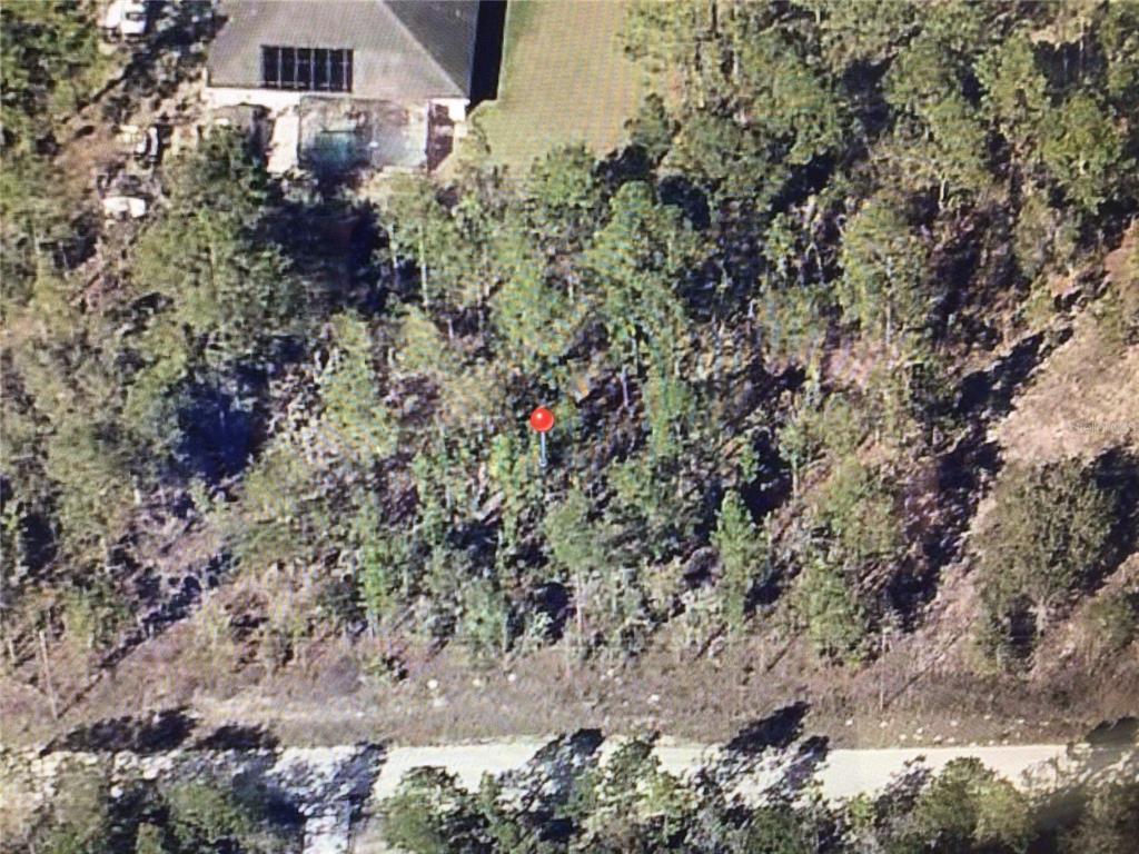 0 Southwest 80th Street Dunnellon, FL 34432 - Photo 5 of 5