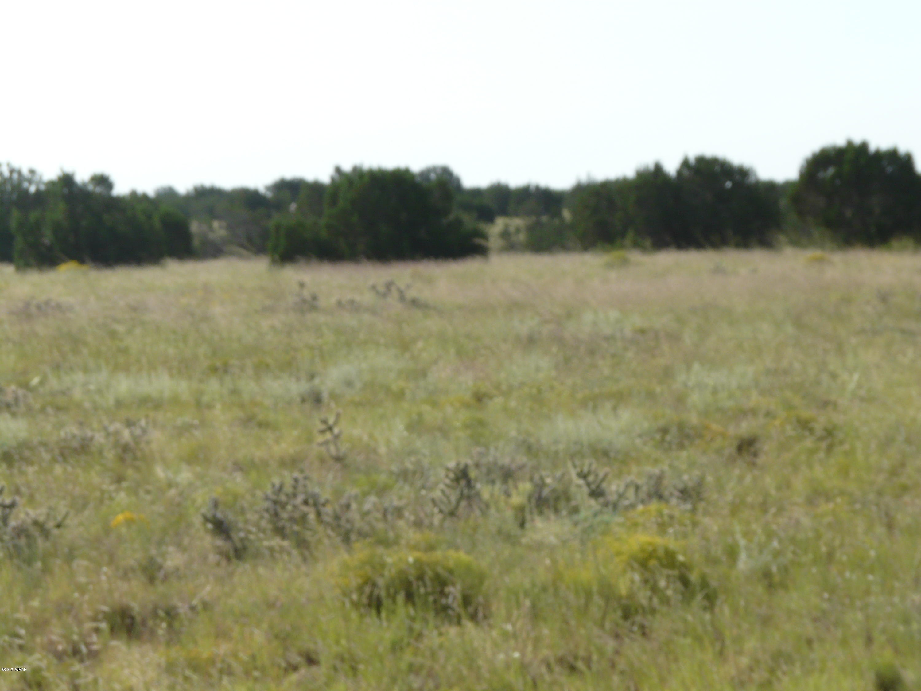 5711 Osprey (lot 2) Road Heber, AZ 85928 - Photo 4 of 8