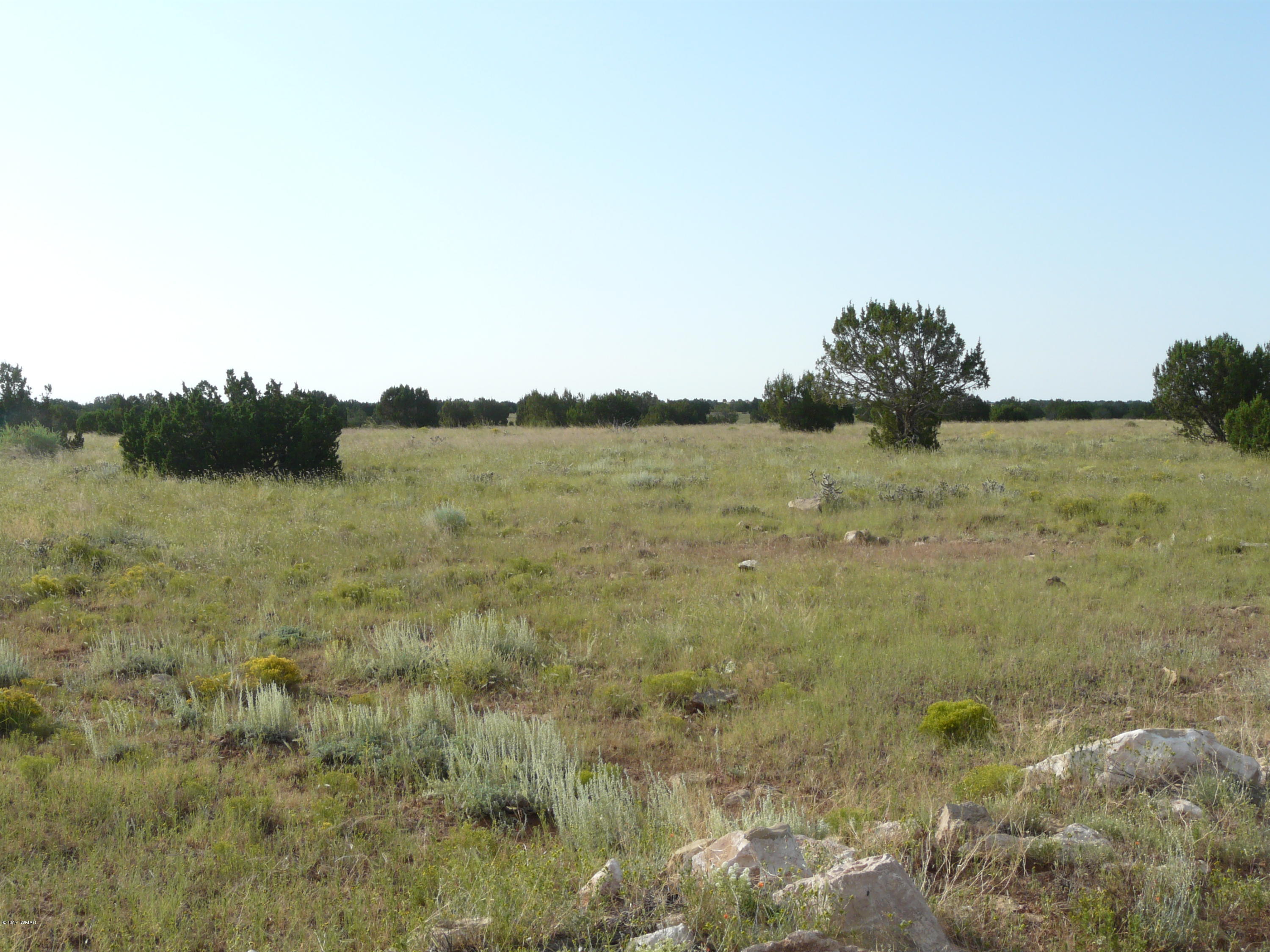 5711 Osprey (lot 2) Road Heber, AZ 85928 - Photo 6 of 8