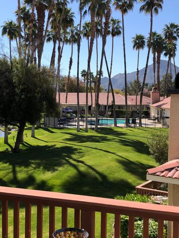 a view of a park with palm trees