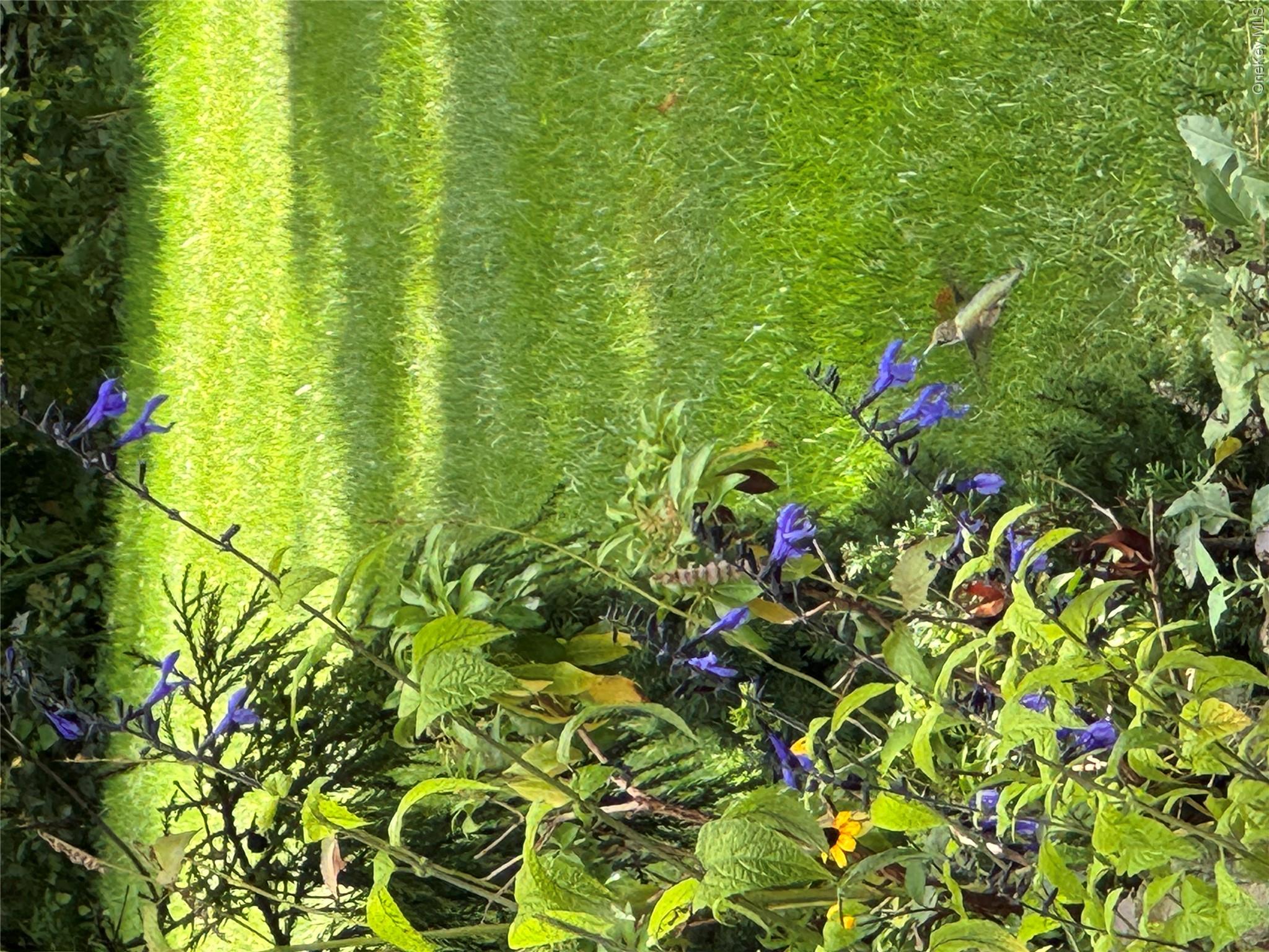 110 Elder Road Islip, NY 11751 - Photo 45 of 48 Humming Bird Gardens