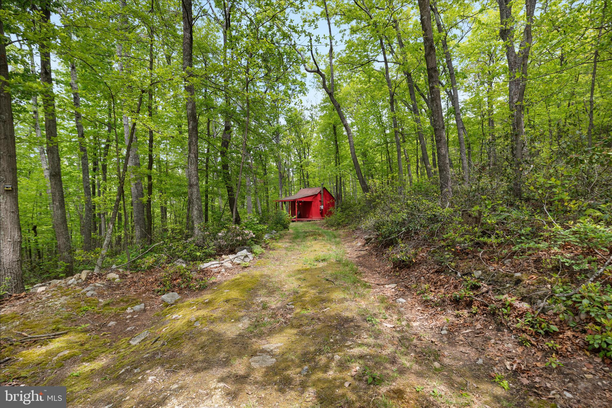 551 Sawlog Road Gore, VA 22637 - Photo 11 of 27 Driveway