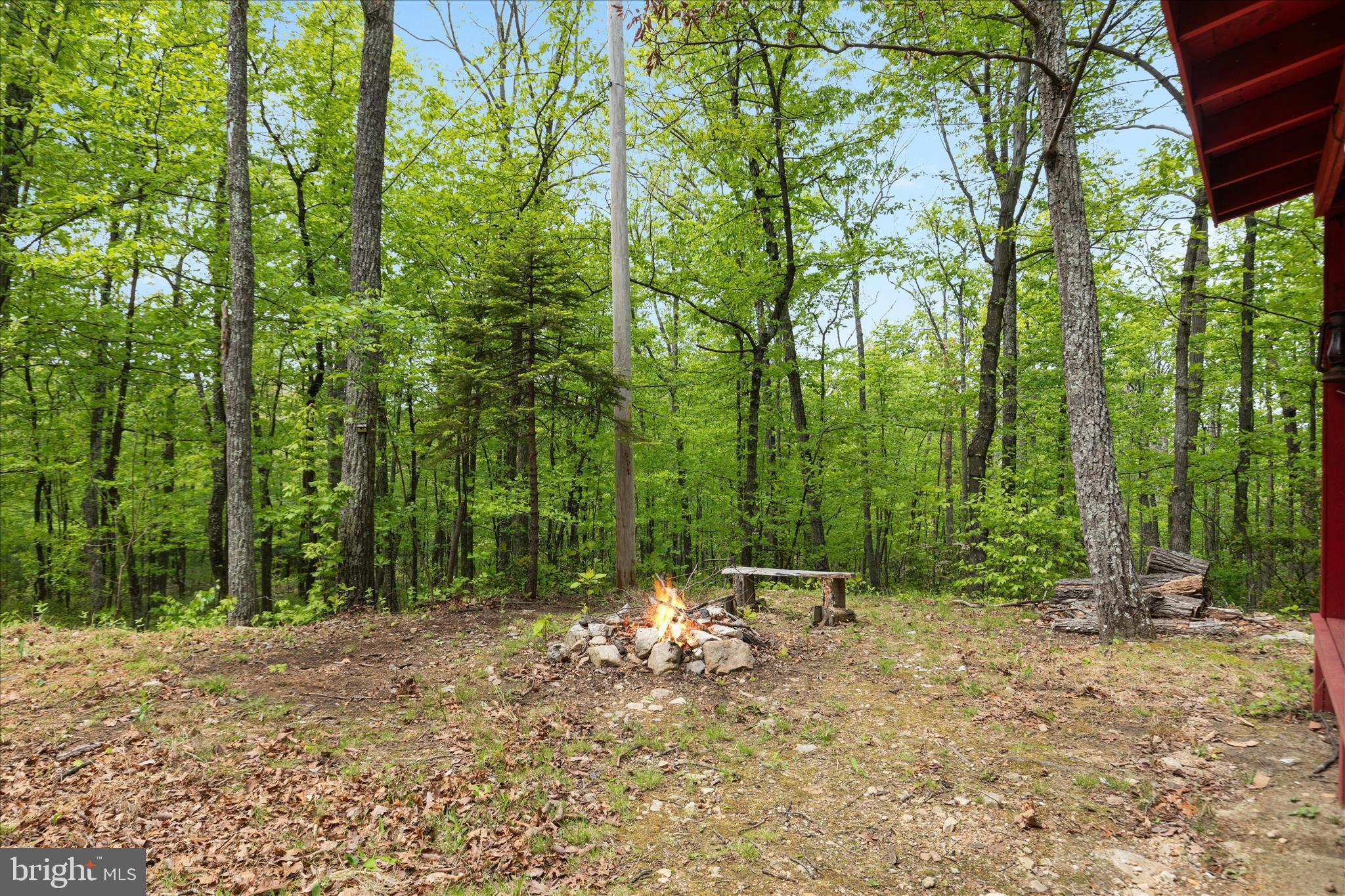 551 Sawlog Road Gore, VA 22637 - Photo 18 of 27 Cleared, level area for fires