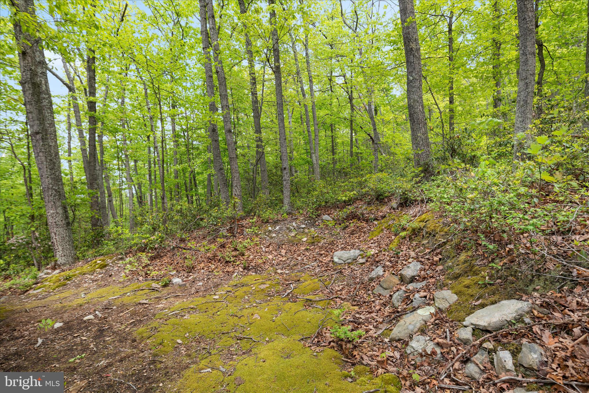 551 Sawlog Road Gore, VA 22637 - Photo 19 of 27