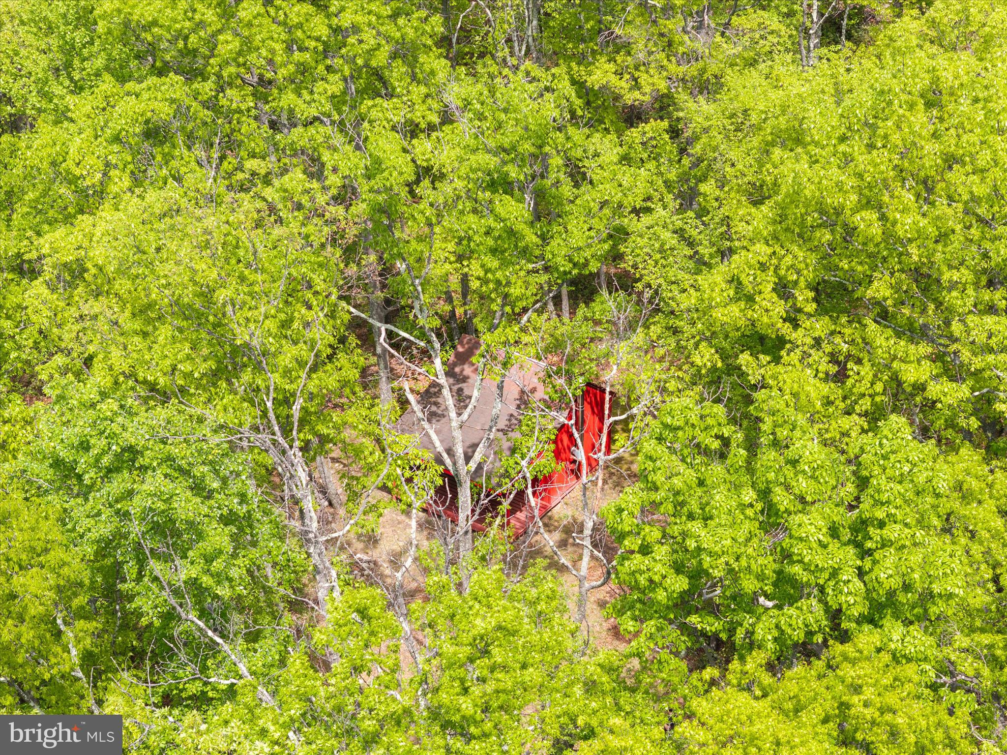 551 Sawlog Road Gore, VA 22637 - Photo 24 of 27 Wooded and private