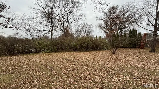 $1,575 | 11975 Old Halls Ferry Road, Black Jack, MO 63033