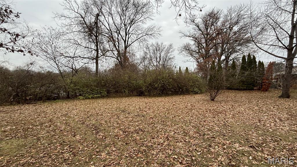 11975 Old Halls Ferry Road Black Jack, MO 63033 - Photo 13 of 13