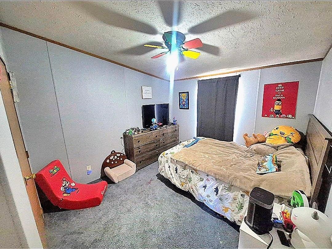 116 3rd Street South Gaylord, MN 55334 - Photo 13 of 15