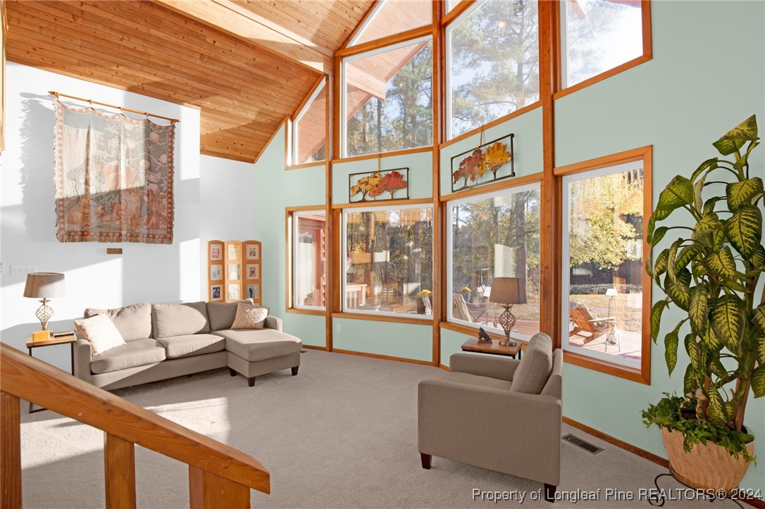 321 Woods Road Raeford, NC 28376 - Photo 12 of 47 Gallery Image 12