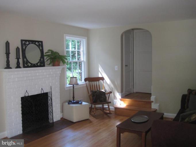 Wood burning fireplace and mantel
