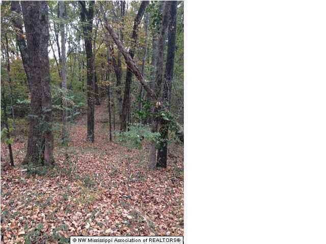379 Getwell Road Hernando, MS 38632 - Photo 3 of 9 Additional Photo