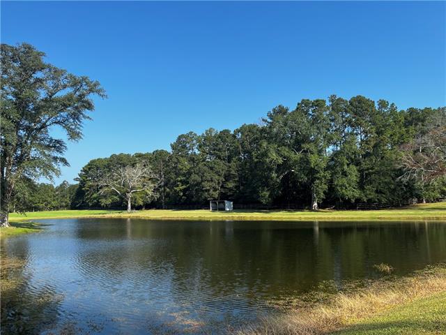 475 Deerfield Road Folsom, LA 70437 - Photo 8 of 35