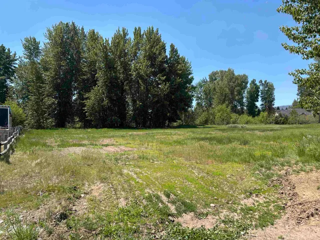 a view of a green field with trees in the background