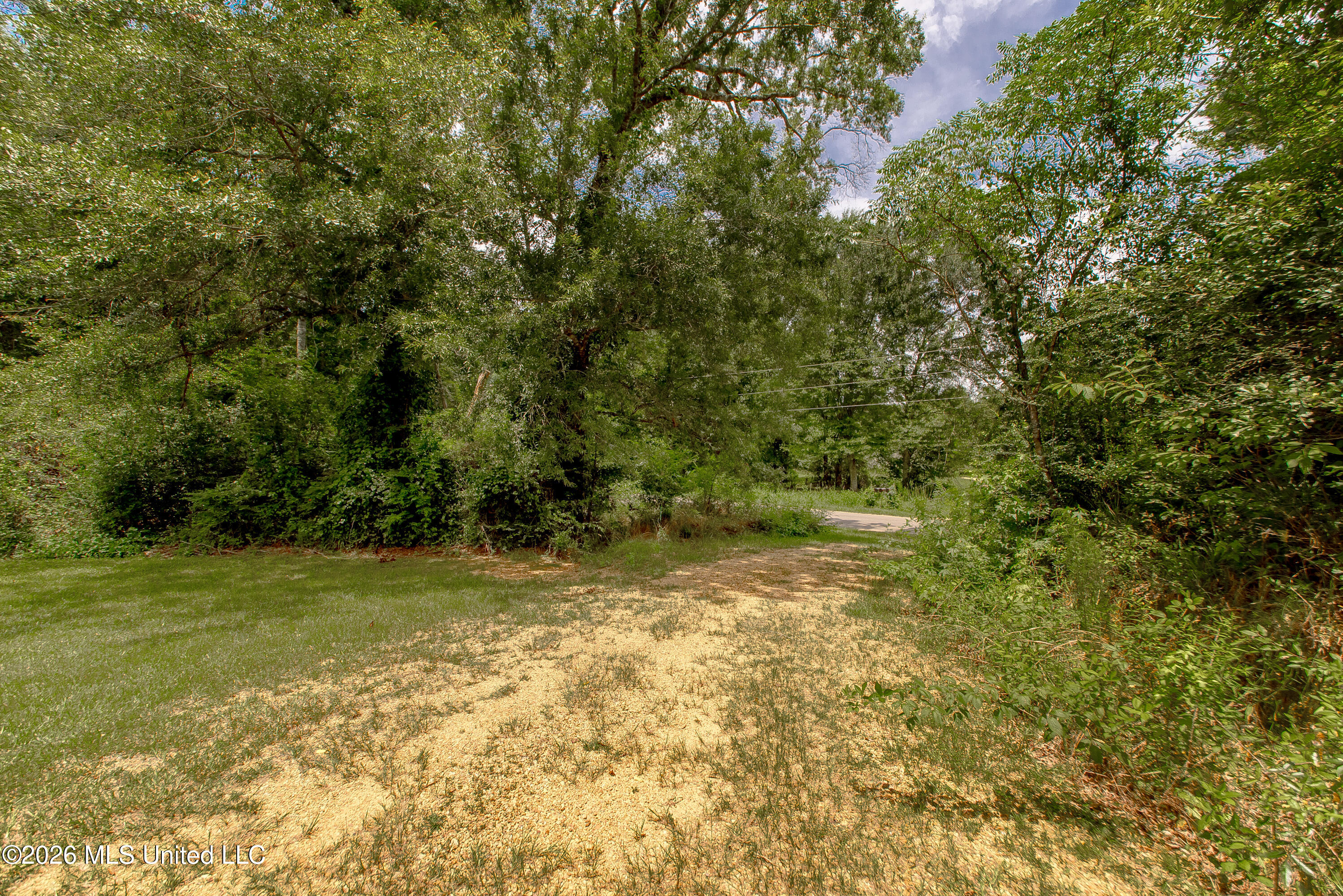 1086 Coffey Road Tylertown, MS 39667 - Photo 28 of 28 DSC_2362 copy (1)