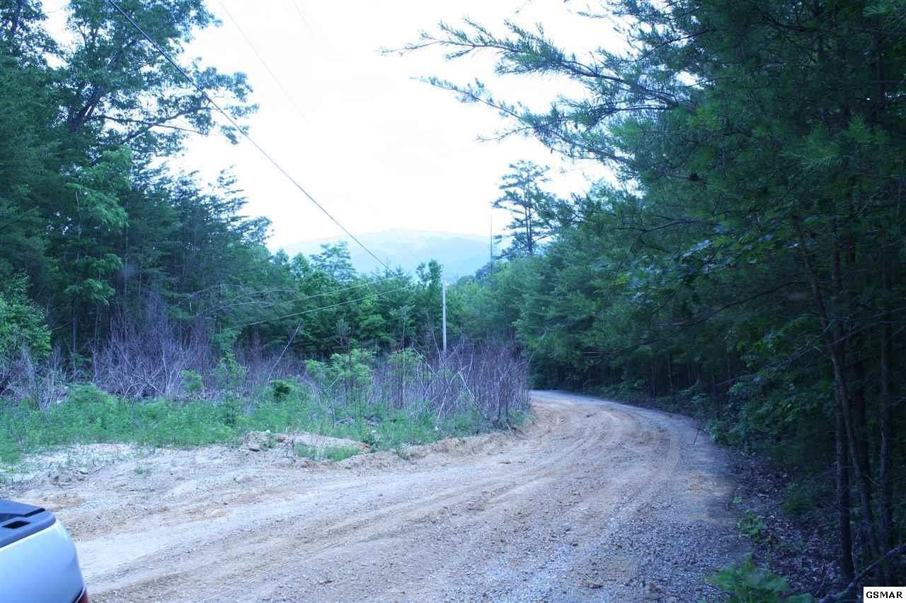 0 Bogard Crk Road Cosby, TN 37722 - Photo 30 of 30 Gallery Image 30