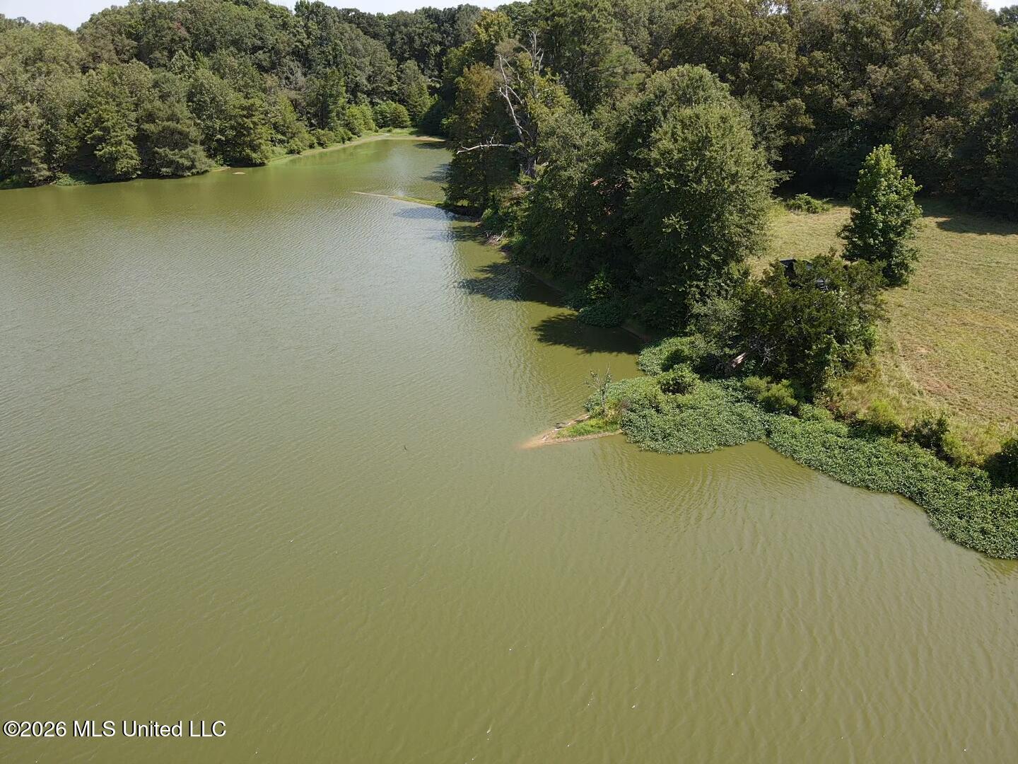 Wildwood Road Vaughan, MS 39179 - Photo 24 of 51 2026-07-28-11-05-16-169