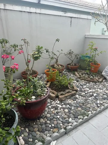 a view of a fruit basket