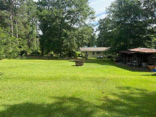 24 Doc King Road Nauvoo, AL 35578 - Photo 5 of 19 Gallery Image 5