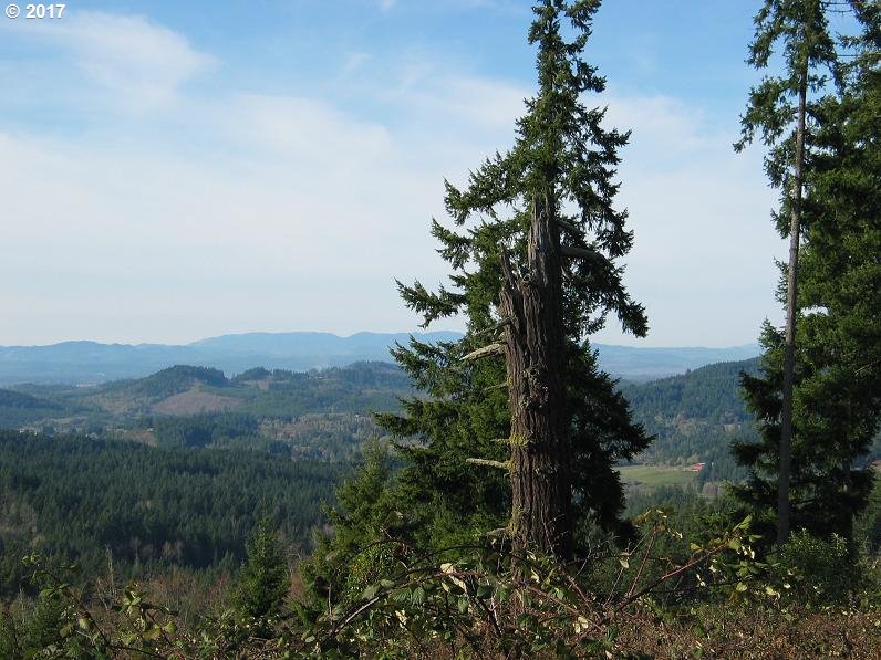 30953 Fox Hollow Road Eugene, OR 97405 - Photo 1 of 22 Gallery Image 1