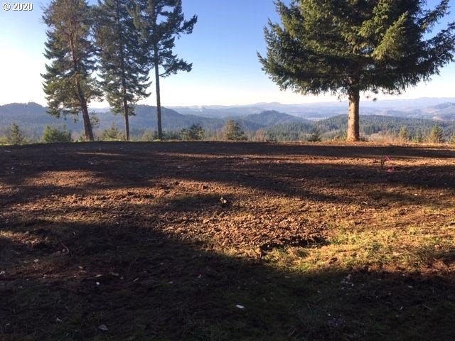 30953 Fox Hollow Road Eugene, OR 97405 - Photo 2 of 22 Gallery Image 2