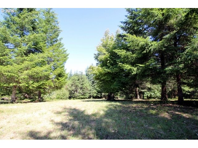30953 Fox Hollow Road Eugene, OR 97405 - Photo 12 of 22 Gallery Image 12