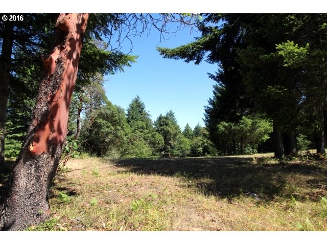 30953 Fox Hollow Road Eugene, OR 97405 - Photo 13 of 22 Gallery Image 13
