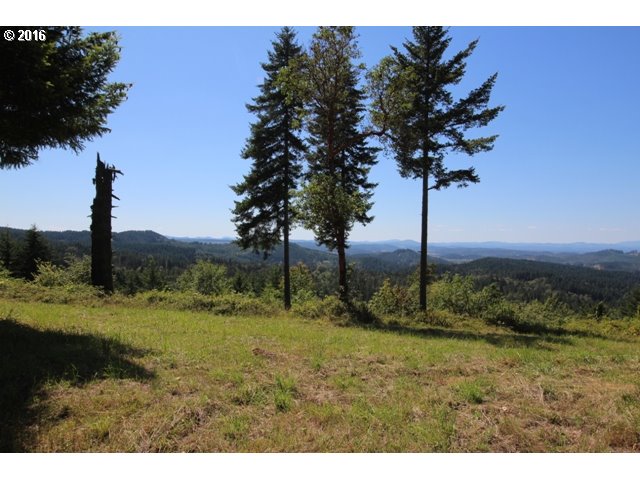 30953 Fox Hollow Road Eugene, OR 97405 - Photo 14 of 22 Gallery Image 14