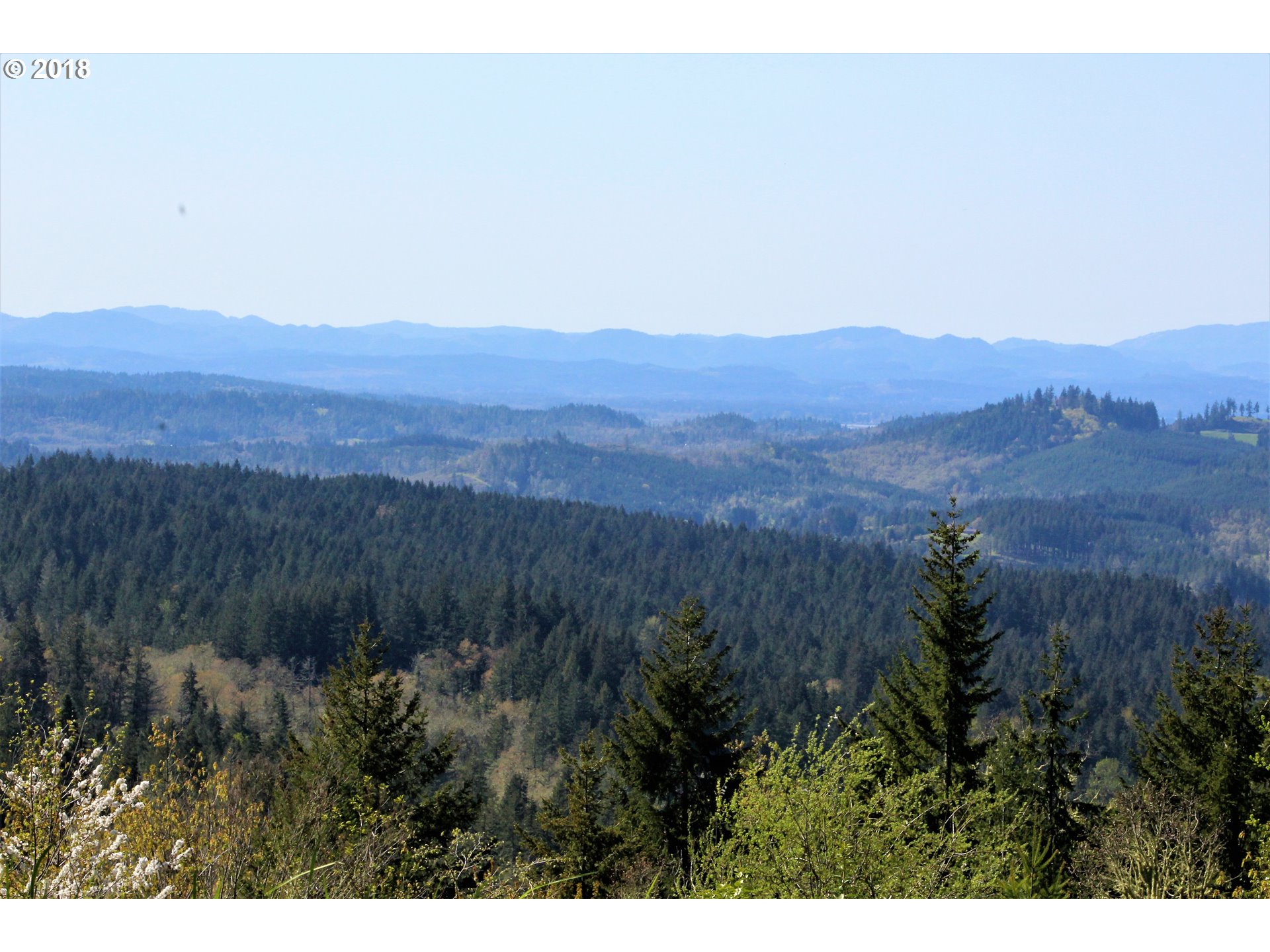 30953 Fox Hollow Road Eugene, OR 97405 - Photo 3 of 22 Gallery Image 3