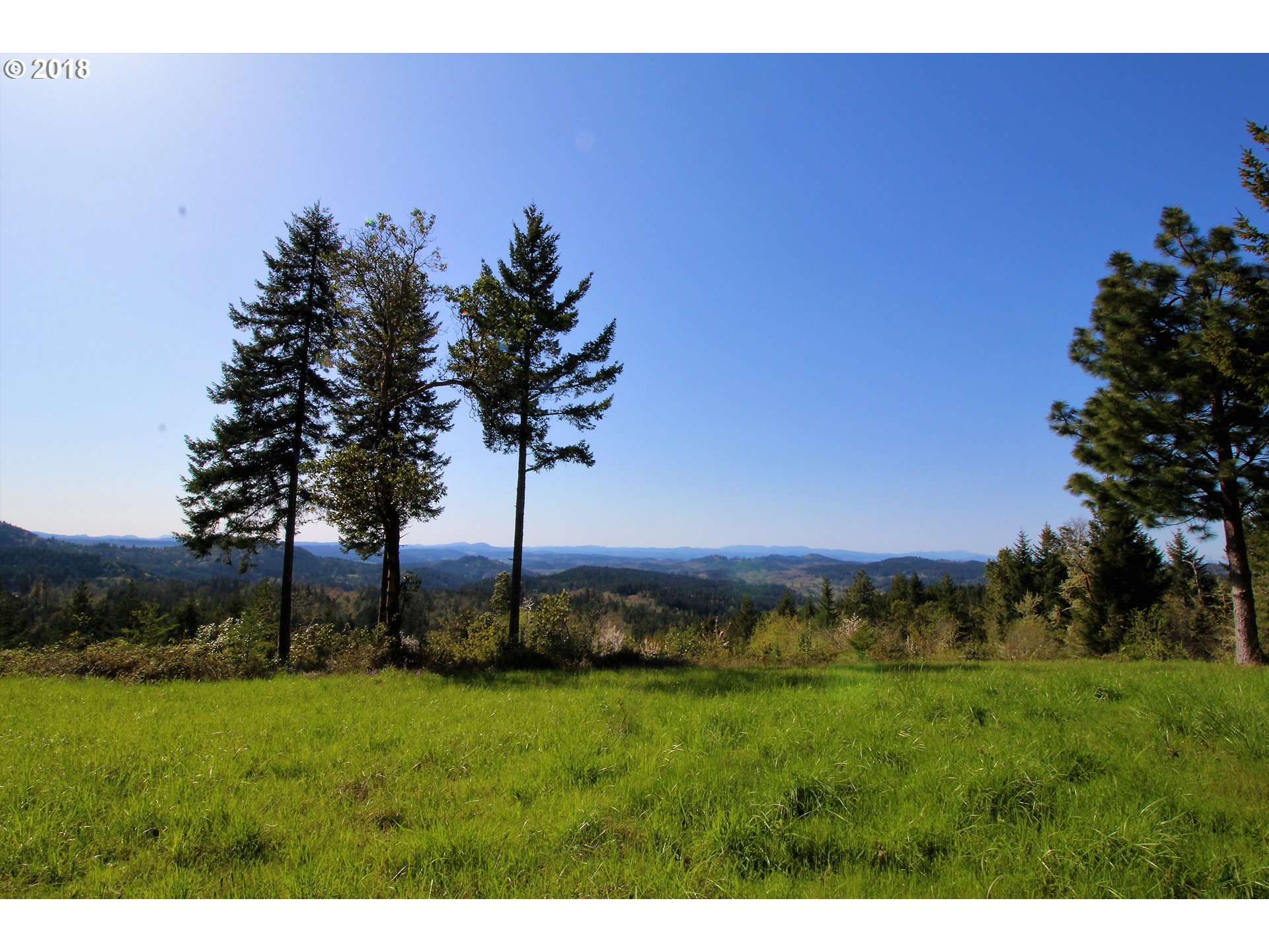 30953 Fox Hollow Road Eugene, OR 97405 - Photo 4 of 22 Gallery Image 4