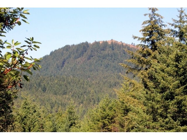 30953 Fox Hollow Road Eugene, OR 97405 - Photo 6 of 22 Gallery Image 6