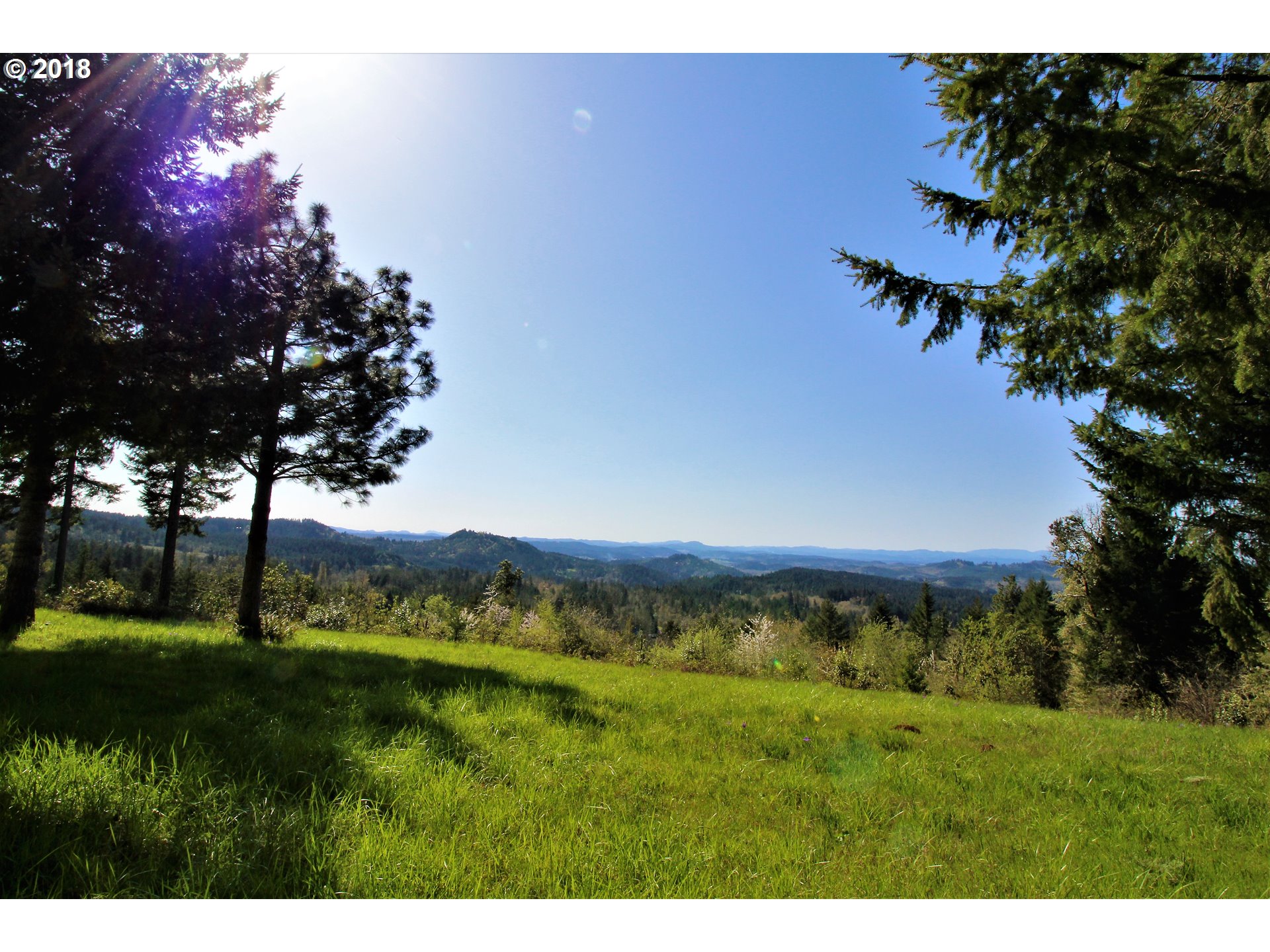 30953 Fox Hollow Road Eugene, OR 97405 - Photo 9 of 22 Gallery Image 9