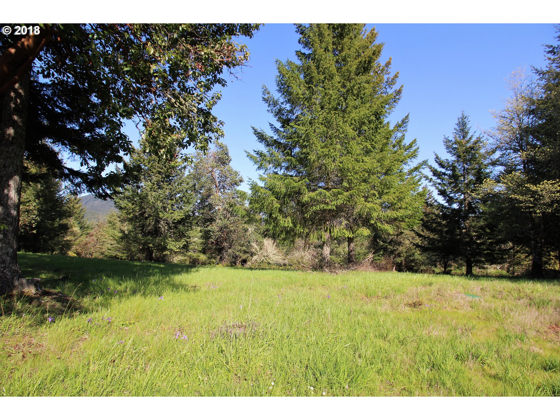 30953 Fox Hollow Road Eugene, OR 97405 - Photo 10 of 22 Gallery Image 10