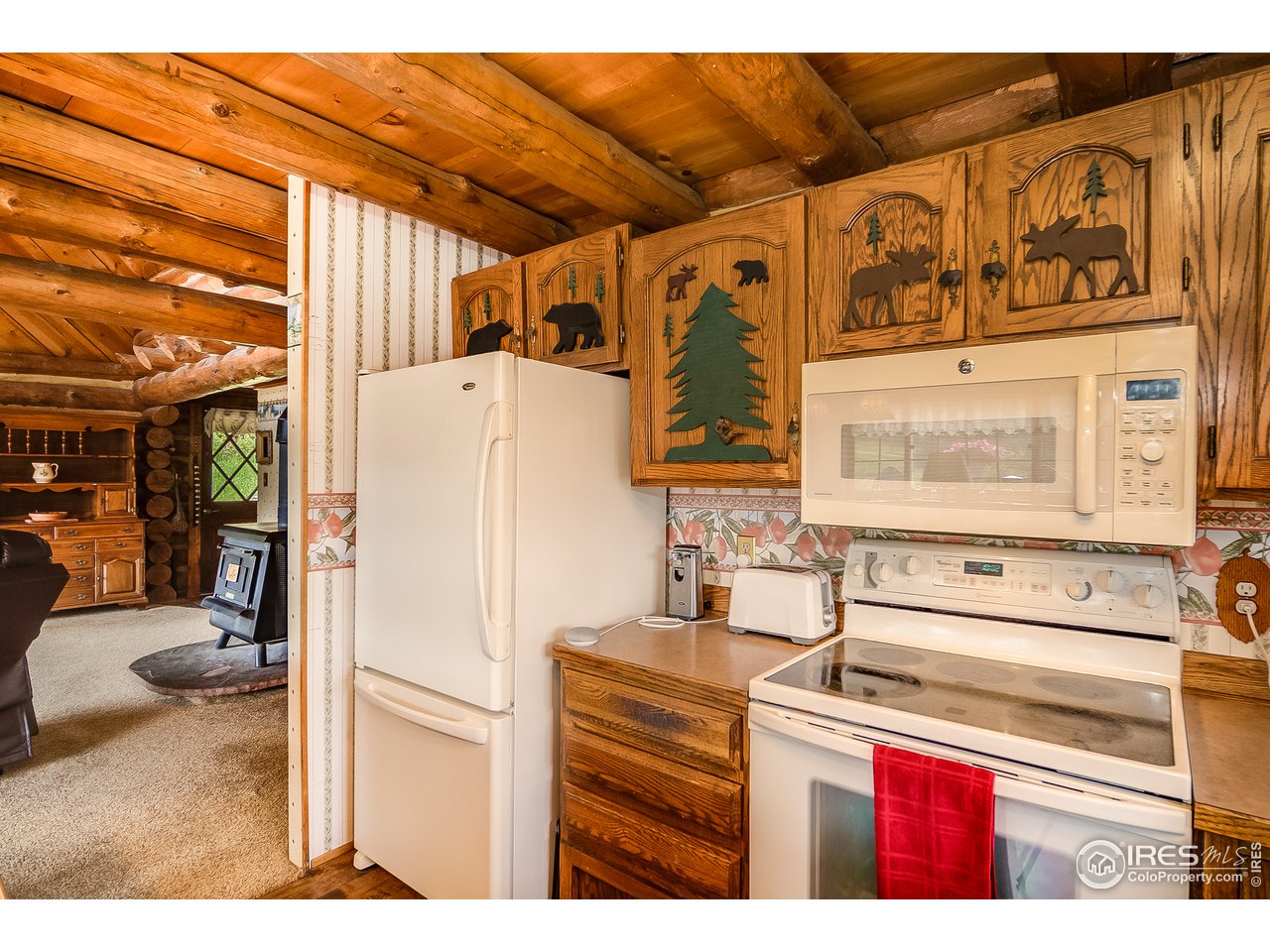 49 Moose Road Lyons, CO 80540 - Photo 23 of 40 a view of a kitchen with storage and utility
