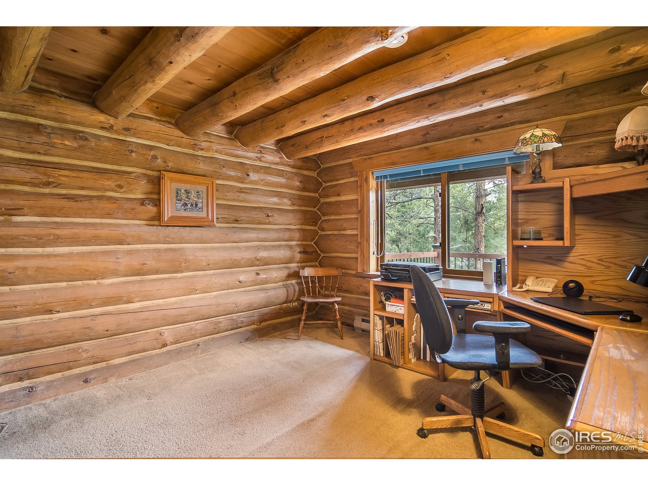 49 Moose Road Lyons, CO 80540 - Photo 38 of 40 a room with gym equipment and a large window