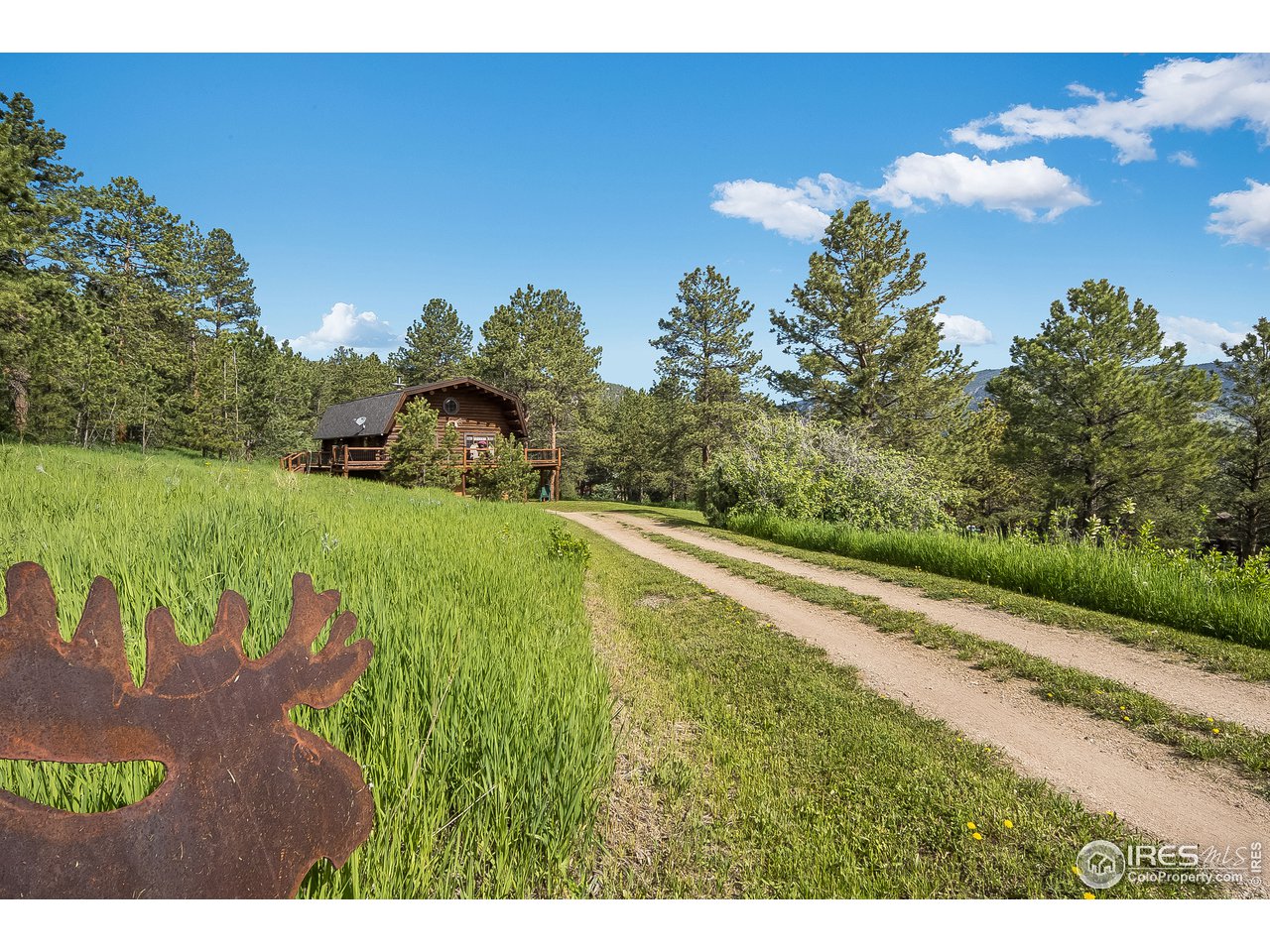 49 Moose Road Lyons, CO 80540 - Photo 9 of 40 a view of a yard with an ocean