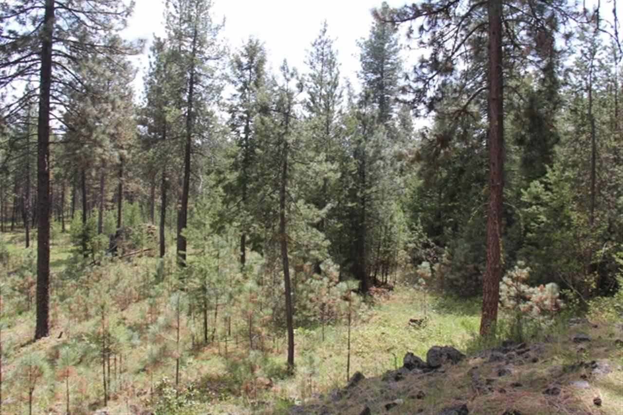 0 North Crescent Road Colbert, WA 99005 - Photo 11 of 19